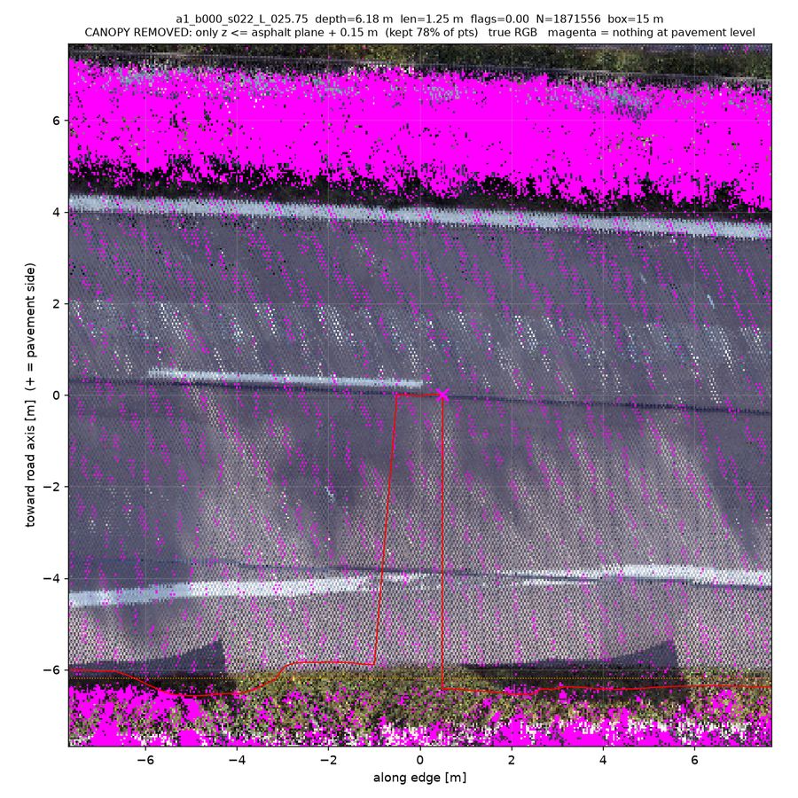 canopy-stripped (points ≤15 cm above road)