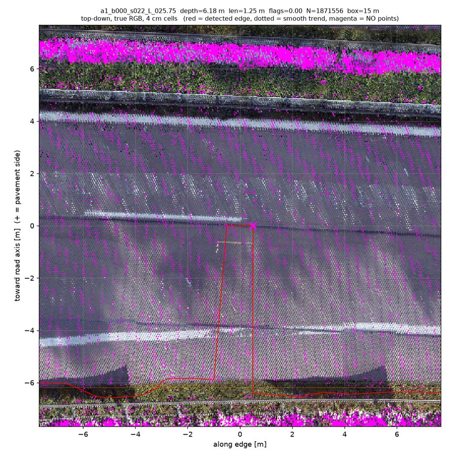 top-down true RGB (magenta = no returns)
