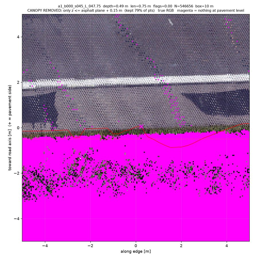 canopy-stripped (points ≤15 cm above road)