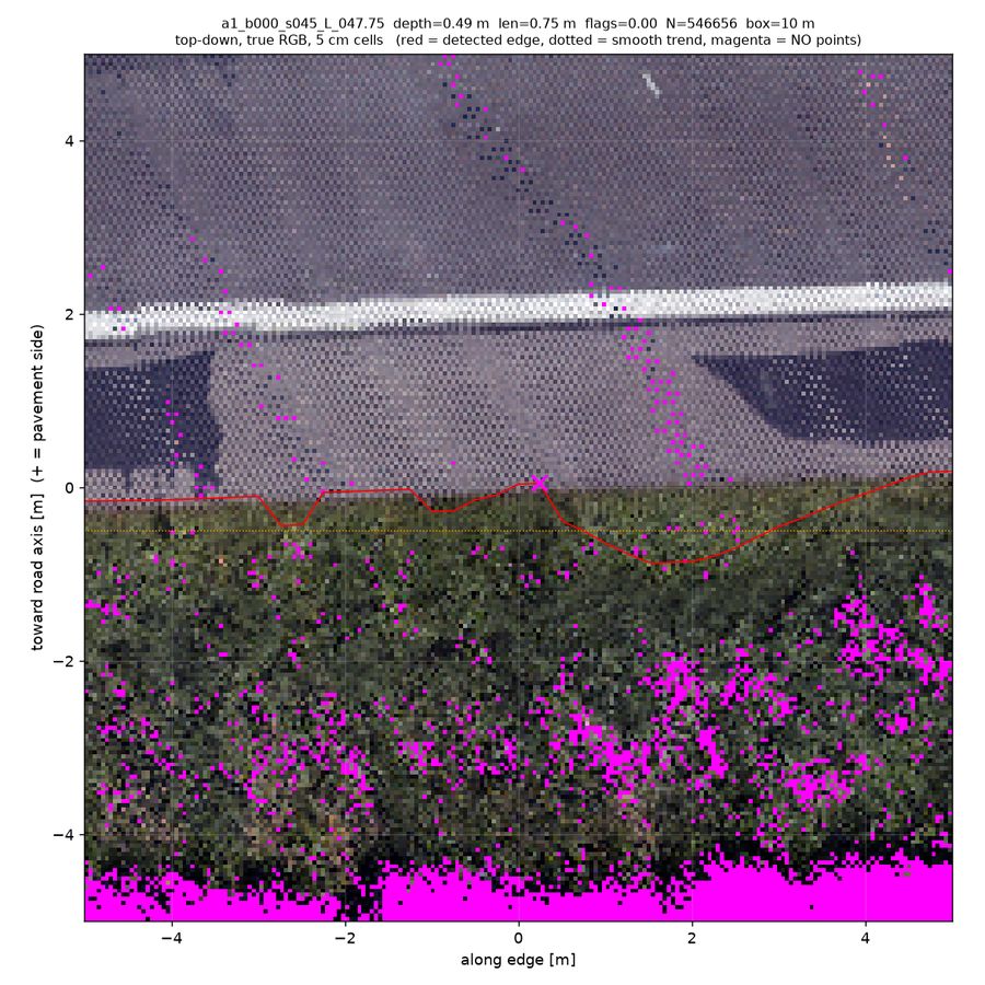 top-down true RGB (magenta = no returns)
