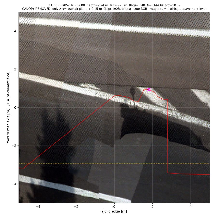 canopy-stripped (points ≤15 cm above road)