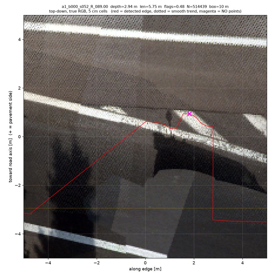 top-down true RGB (magenta = no returns)