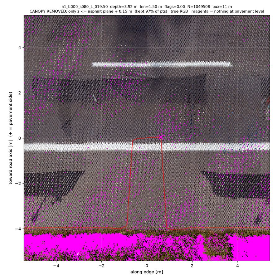 canopy-stripped (points ≤15 cm above road)