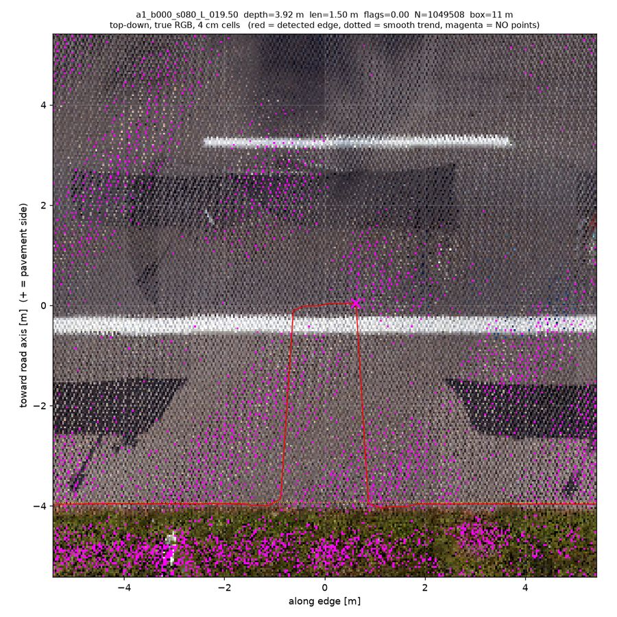 top-down true RGB (magenta = no returns)