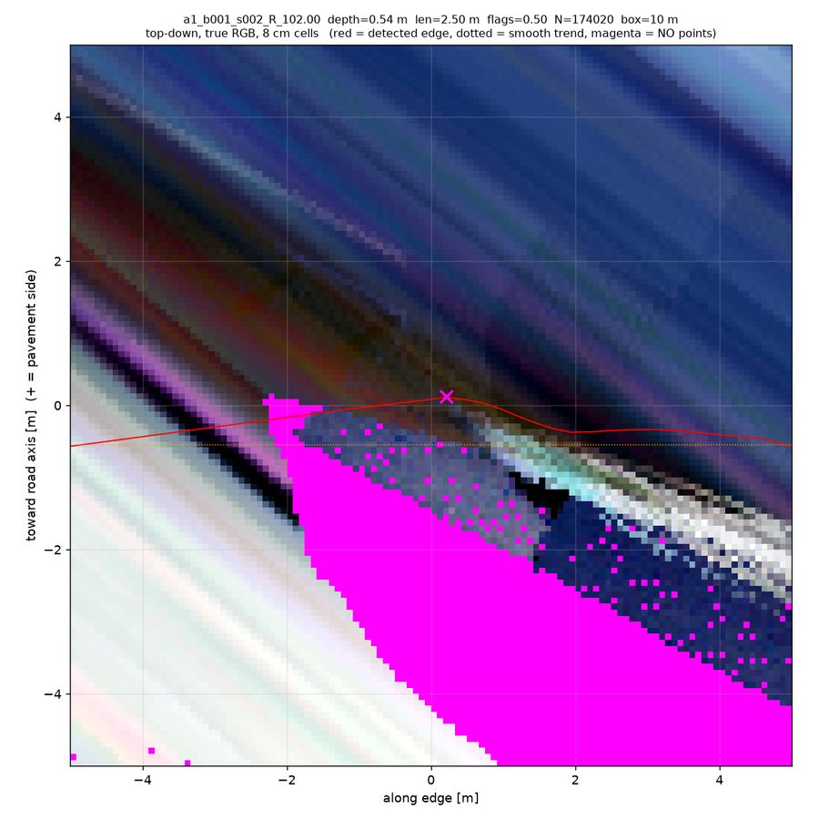top-down true RGB (magenta = no returns)