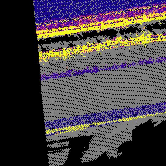 z-range raster (bright = tall canopy)