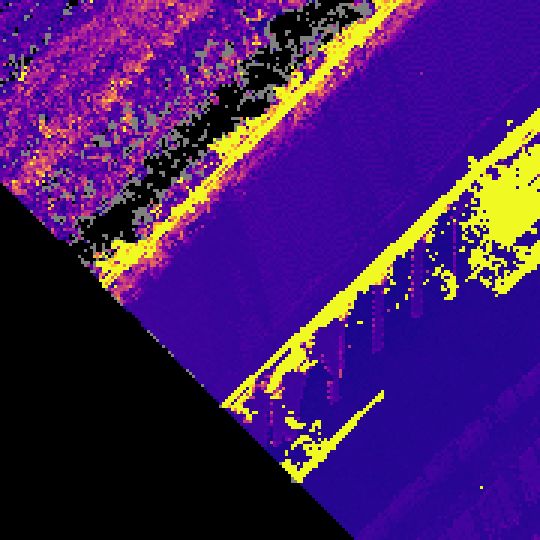 z-range raster (bright = tall canopy)