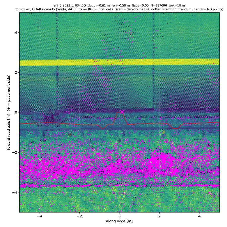 top-down true RGB (magenta = no returns)