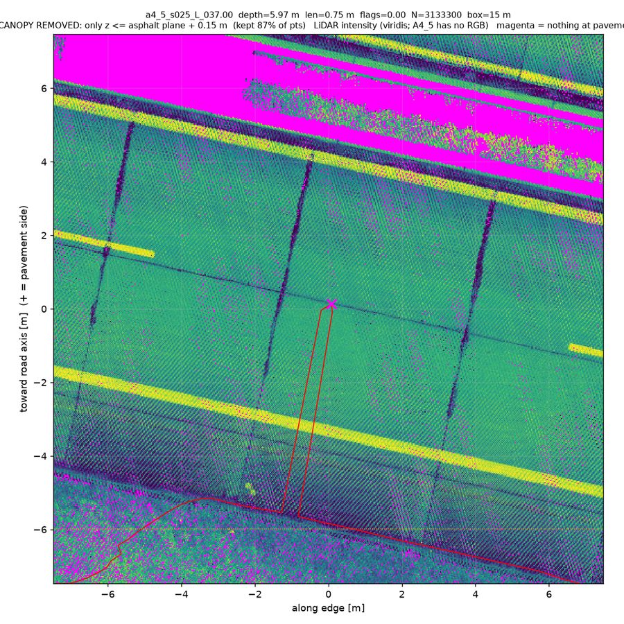 canopy-stripped (points ≤15 cm above road)