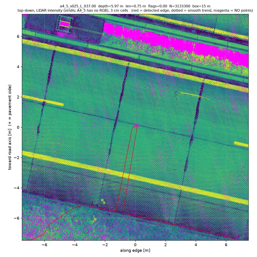 top-down true RGB (magenta = no returns)