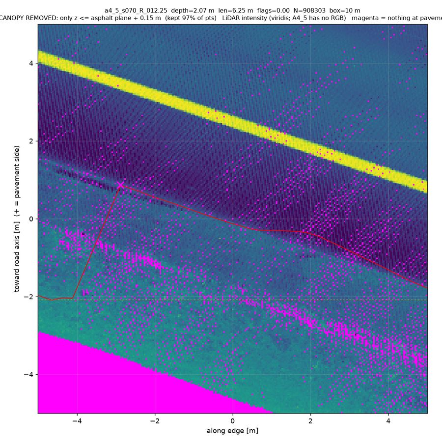 canopy-stripped (points ≤15 cm above road)