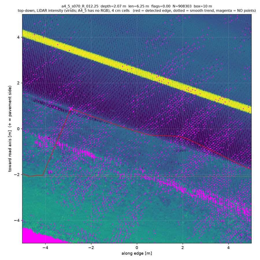 top-down true RGB (magenta = no returns)