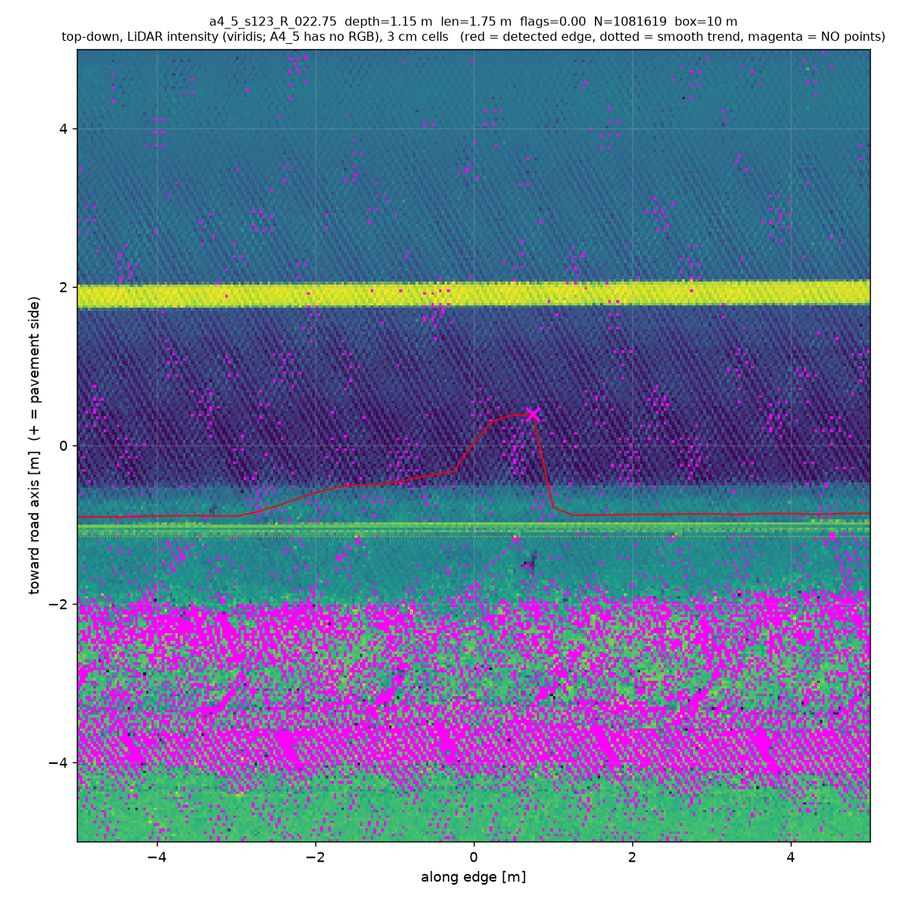 top-down true RGB (magenta = no returns)