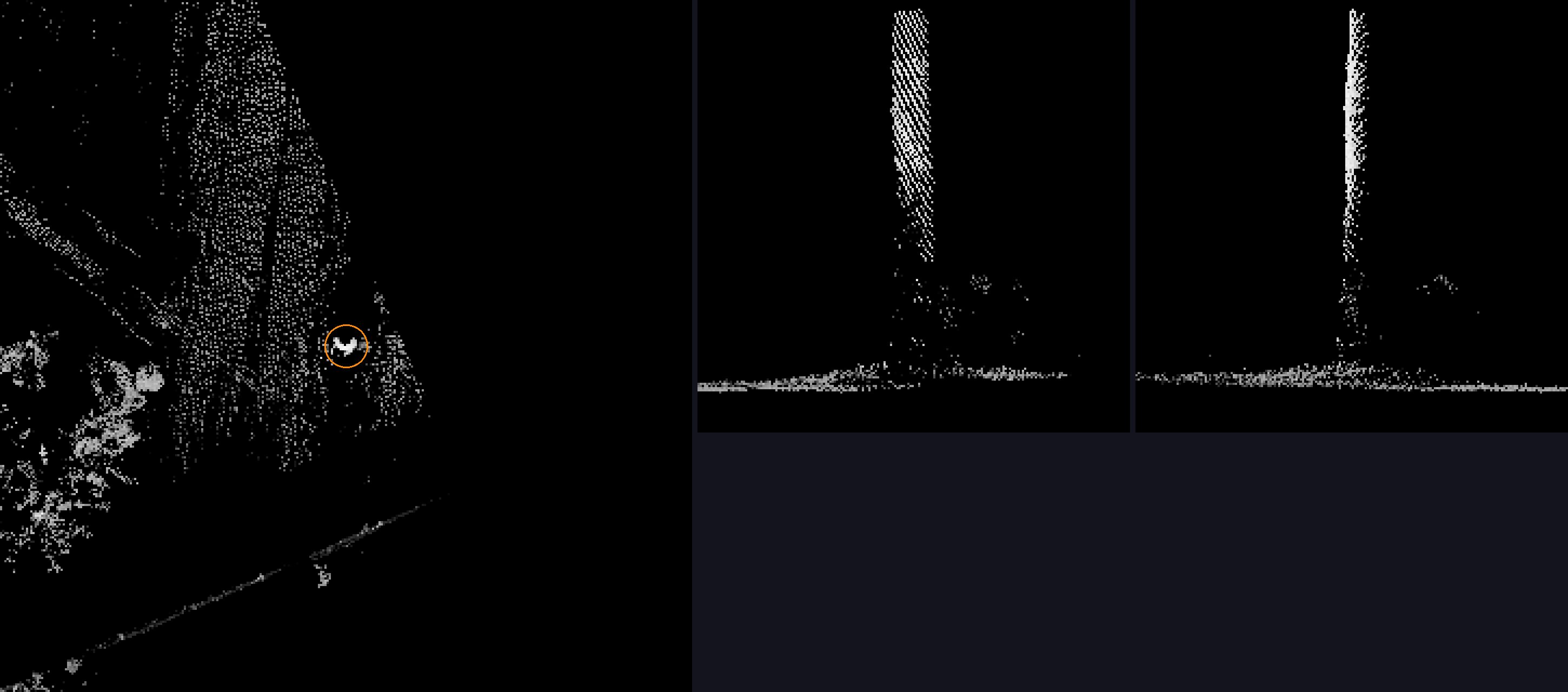 s049 crops