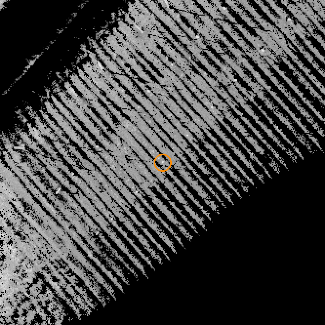 field context