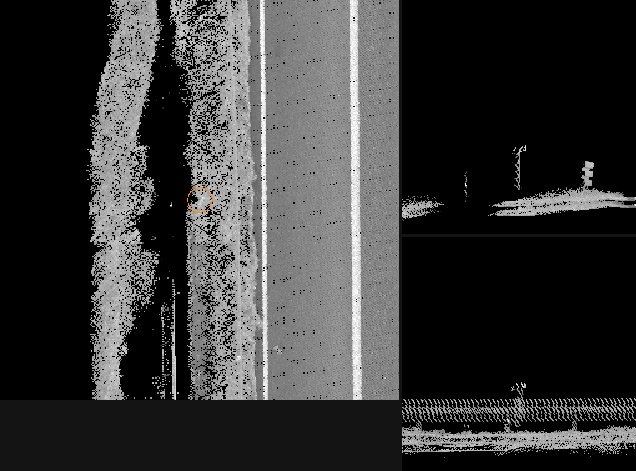 vegetation false positive leaked by AFTER